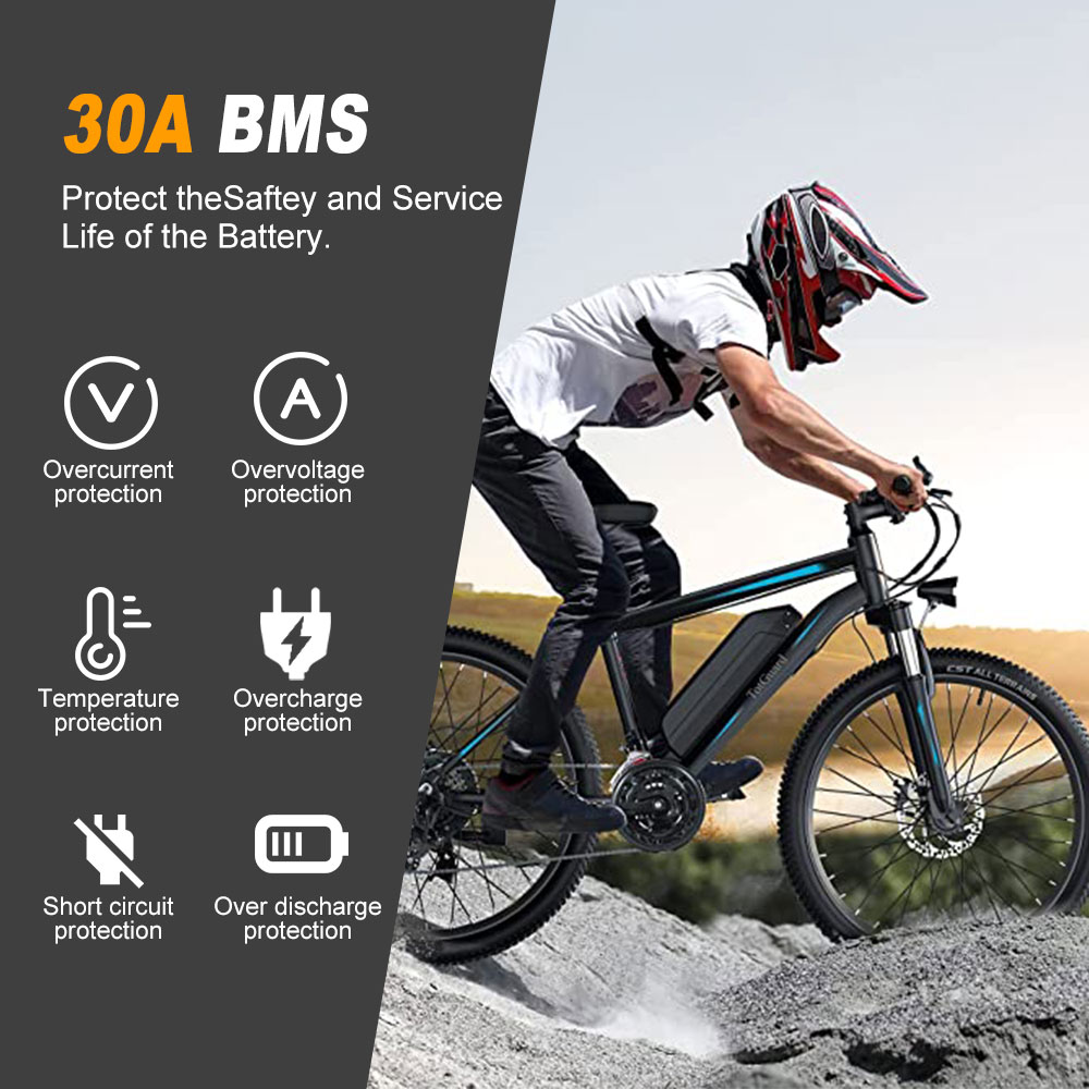 Hailong Electric Bike Battery  - đánh giá và giá Ebike Battery 48V 20Ah Hailong